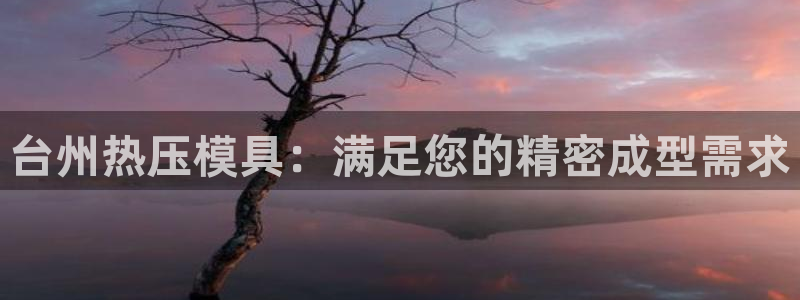 易倍电竞安装教程:台州热压模具:满足您的精密成型需求