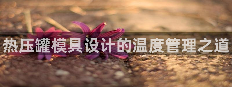 易倍企业管理软件