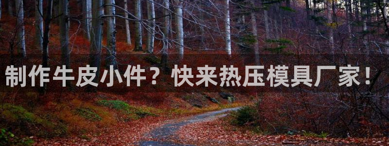 易倍单词登录网站