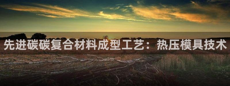 易倍纤减肥价格