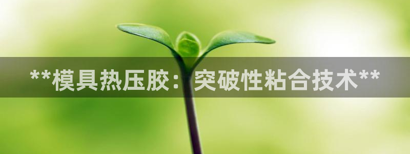 emc低频：**模具热压胶：突破性粘合技术**