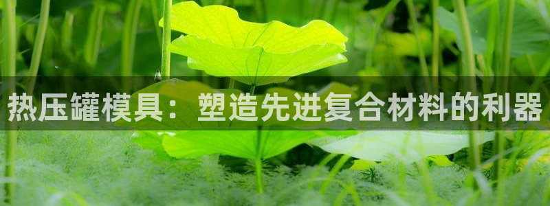 EMC易倍让身份验证