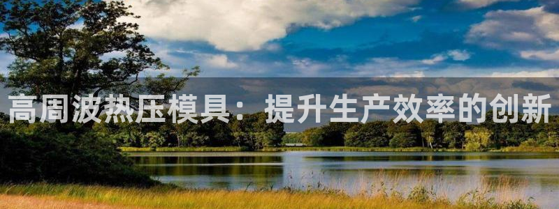 易倍企业管理软件：高周波热压模具：提升生产效率的创新