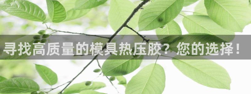 武汉易倍捷科技有限公司：寻找高质量的模具热压胶？您的选择