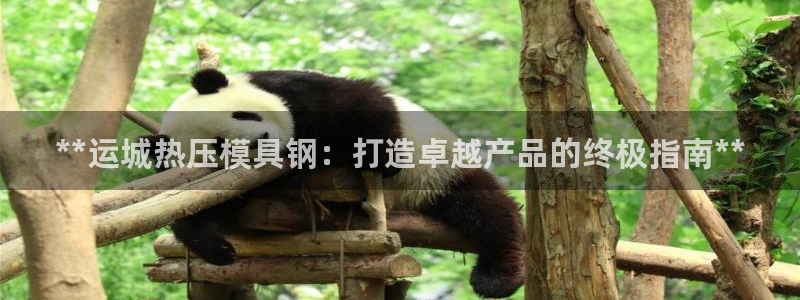 emc32软件使用说明：**运城热压模具钢：打造卓越产品