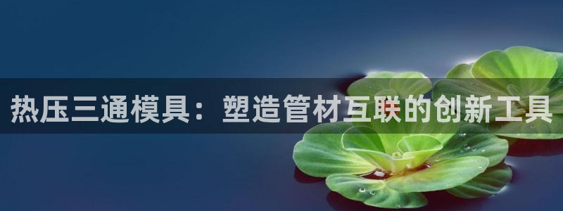 EMC倍频原理：热压三通模具：塑造管材互联的创新工具