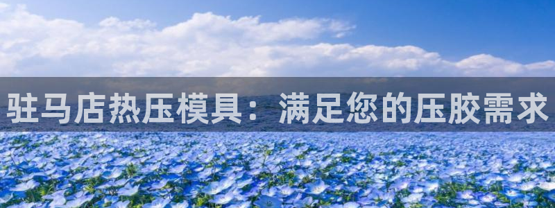 易倍网络技术有限公司：驻马店热压模具：满足您的压胶需求