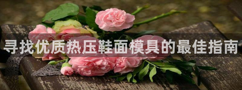 EMC易倍官网招聘：寻找优质热压鞋面模具的最佳指南