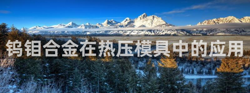 emc服务器是干啥的：钨钼合金在热压模具中的应用