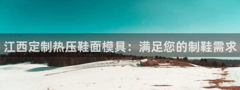 易倍单词app：江西定制热压鞋面模具：满足您的制鞋需求