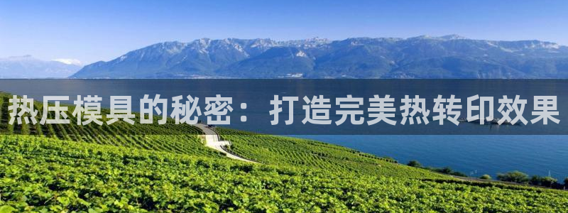 emc易倍最新链接：热压模具的秘密：打造完美热转印效果