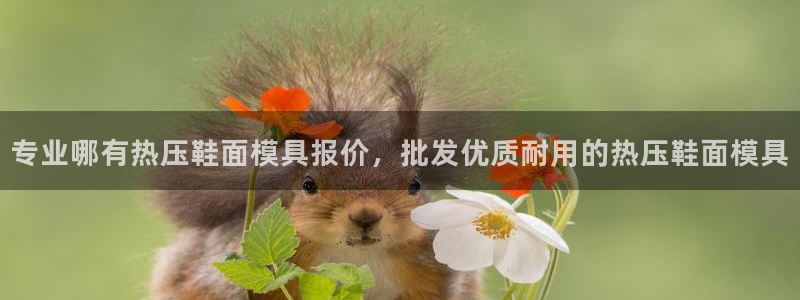 易倍达科技有限公司代运营：专业哪有热压鞋面模具报价，批发