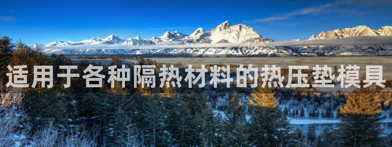 emc服务器是什么：适用于各种隔热材料的热压垫模具