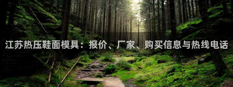 emc易倍：江苏热压鞋面模具：报价、厂家、购买信息与热线