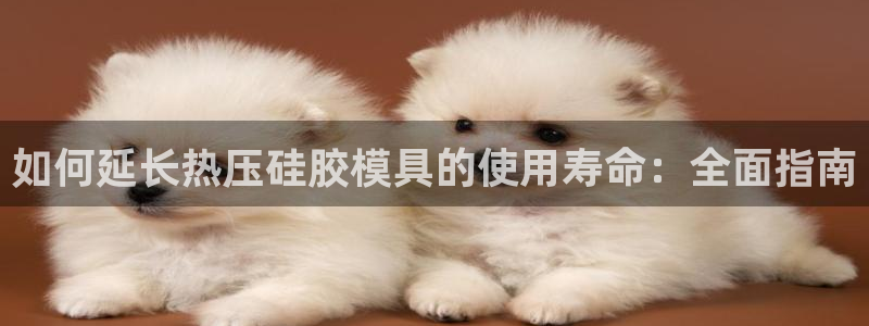 emc易倍网页版:如何延长热压硅胶模具的使用寿命:全面指