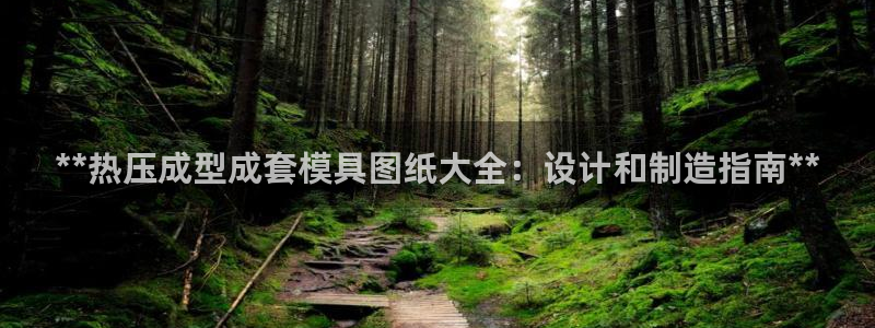 易倍申安理申区别：**热压成型成套模具图纸大全：设计和制