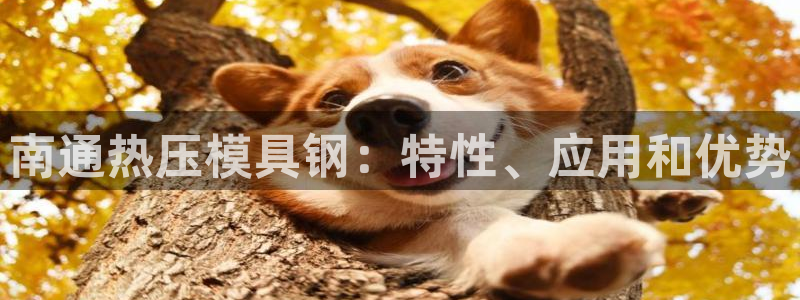 emc倍频：南通热压模具钢：特性、应用和优势