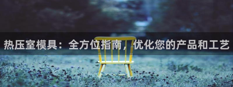 杭州易倍达：热压室模具：全方位指南，优化您的产品和工艺