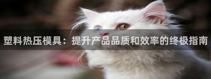 易倍申价格：塑料热压模具：提升产品品质和效率的终极指南