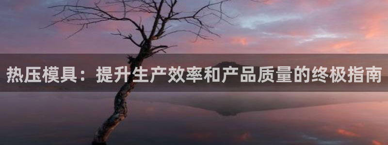 易倍纤代餐奶昔怎么样:热压模具:提升生产效率和产品质量的