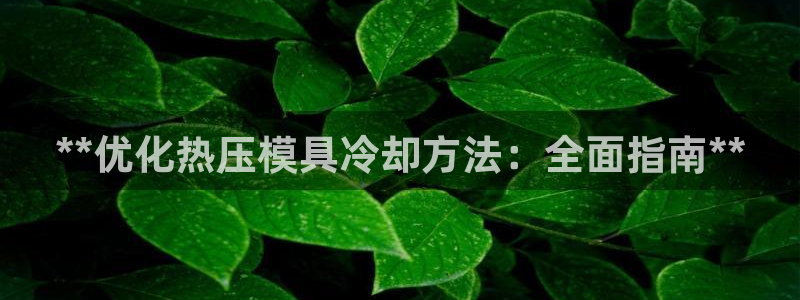 易倍易倍单词官方网站：**优化热压模具冷却方法：全面指南