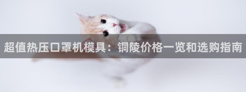 易倍达科技有限公司：超值热压口罩机模具：铜陵价格一览和选