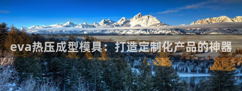 易倍申上市时间：eva热压成型模具：打造定制化产品的神器
