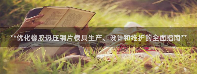 易倍纤减肥价格：**优化橡胶热压钢片模具生产、设计和维护