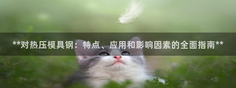 易倍纤代餐奶昔怎么样：**对热压模具钢：特点、应用和影响