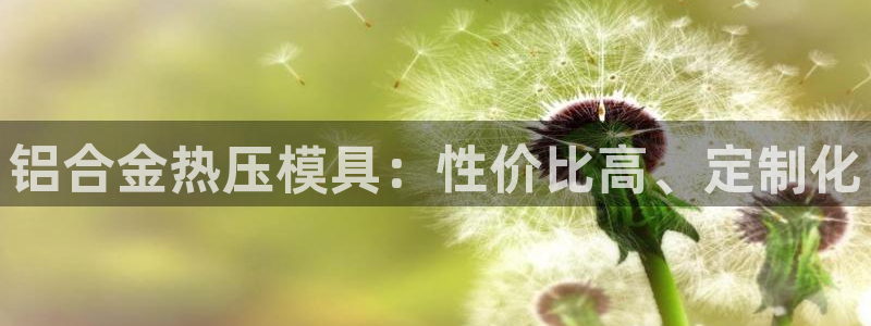 易倍科华生物科技有限公司：铝合金热压模具：性价比高、定制