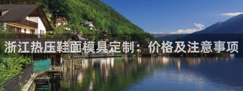 四川易倍易企业管理有限公司：浙江热压鞋面模具定制：价格及