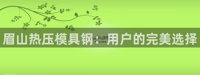 EMC易倍:眉山热压模具钢:用户的完美选择