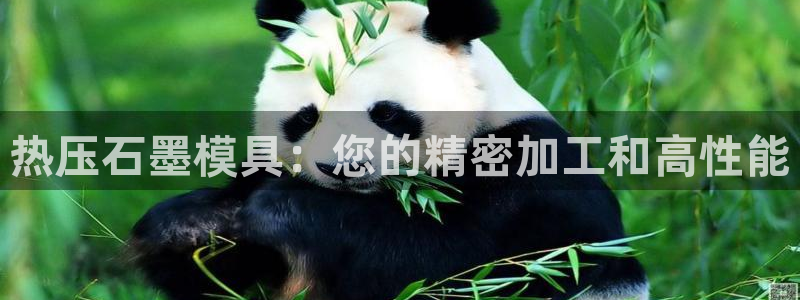 易倍单词app：热压石墨模具：您的精密加工和高性能