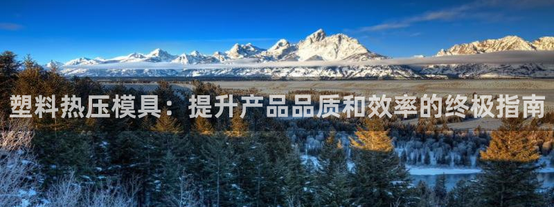 易倍纤酵素效果好吗:塑料热压模具:提升产品品质和效率的终