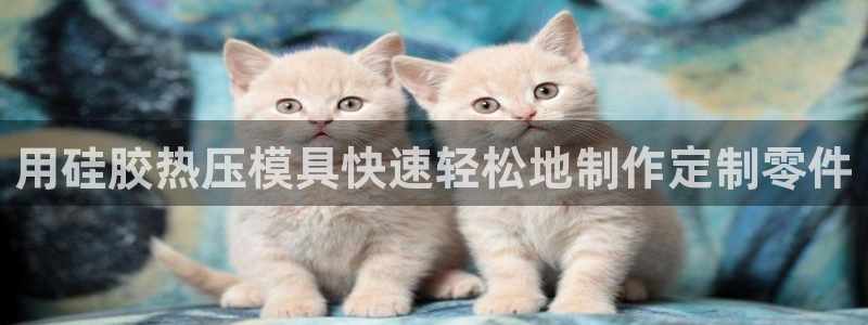 emc易倍黑吗:用硅胶热压模具快速轻松地制作定制零件