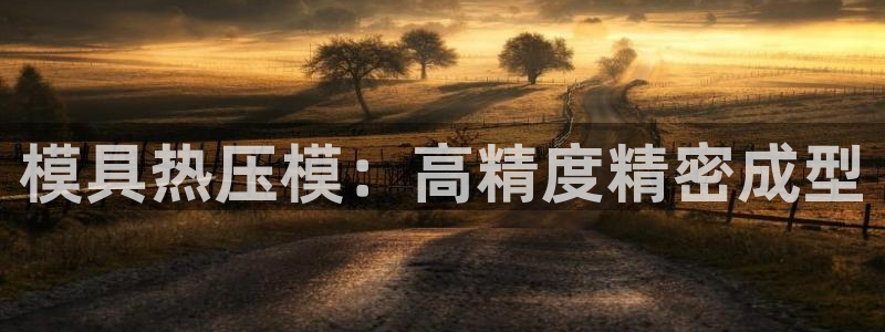 emc易倍登录:模具热压模:高精度精密成型