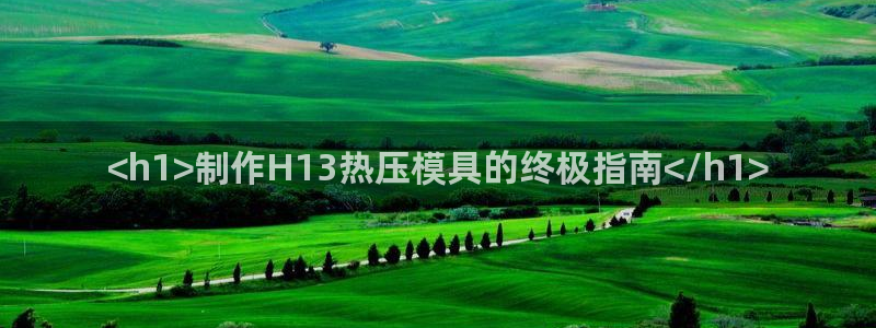 杭州易倍达上班怎么样：<h1>制作H13热压模具的终极指