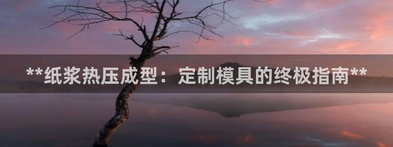 emc测试频率范围:**纸浆热压成型:定制模具的终极指南