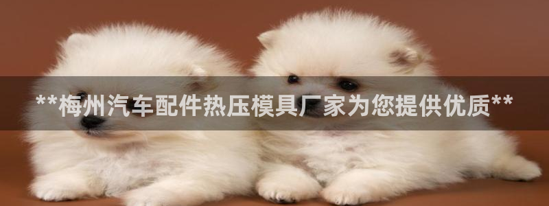 易倍思机电制造(上海)有限公司：**梅州汽车配件热压模具