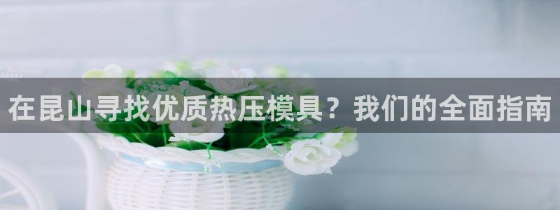 易倍纤代餐粉能减肥吗:在昆山寻找优质热压模具?我们的全面
