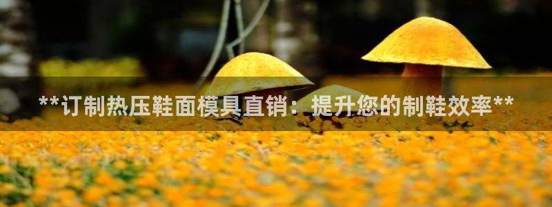 易倍单词平台：**订制热压鞋面模具直销：提升您的制鞋效率