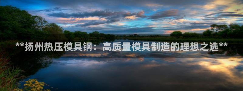 emc易倍ios官网：**扬州热压模具钢：高质量模具制造