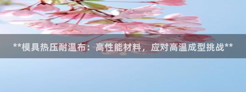 EMC倍频是什么意思：**模具热压耐温布：高性能材料，应