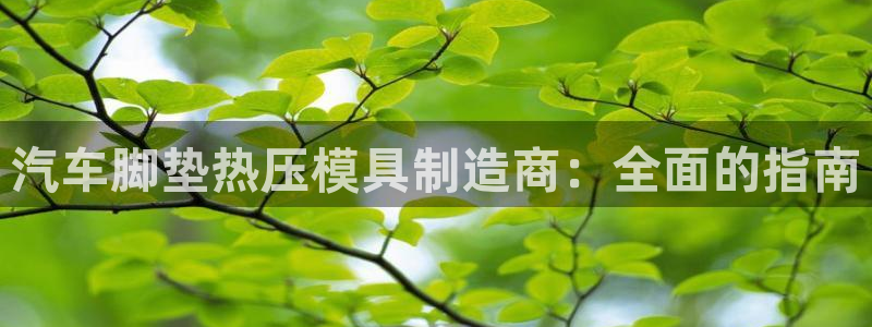 EMC易倍让身份验证：汽车脚垫热压模具制造商：全面的指南