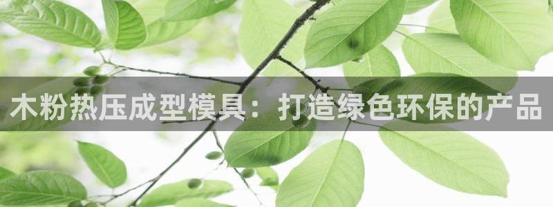 易倍单词官方网站下载