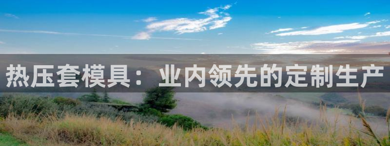 易倍纤代餐奶昔减肥效果怎么样：热压套模具：业内领先的定制