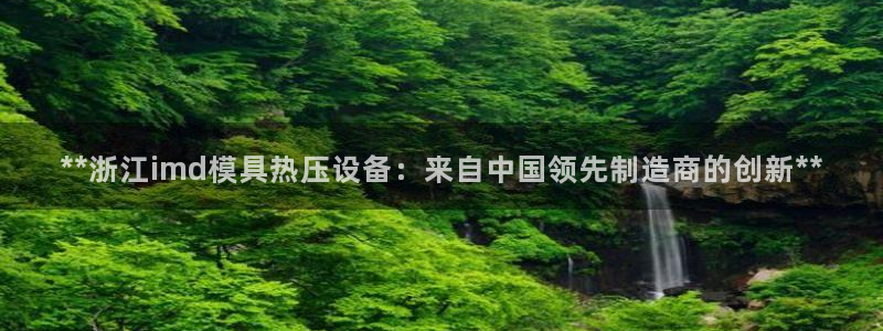 易倍达科技有限公司代运营：**浙江imd模具热压设备：来