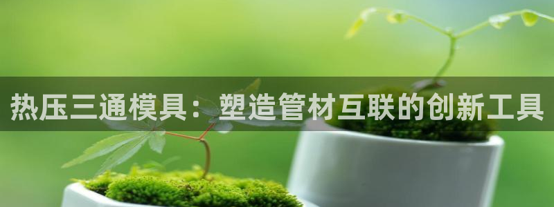 易倍单词平台：热压三通模具：塑造管材互联的创新工具