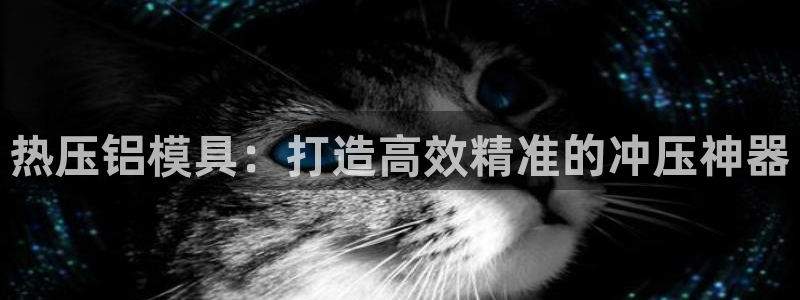 易倍单词官网下载