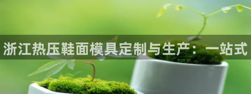 emc易倍出空款：浙江热压鞋面模具定制与生产：一站式